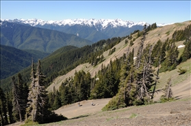 Olympic NP